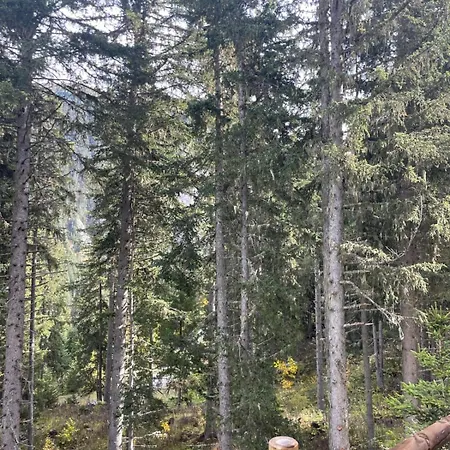 Cozy 30 M To Enjoy The Mountains דירה קורשבל